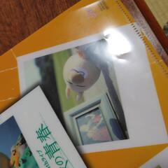 テゴマス　クリアファイル　汚れ、傷有りの画像