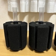 (🌟決定致しました🙇‍♂️)スポンジフィルターL/M/SSサイズまとめて売りますの画像