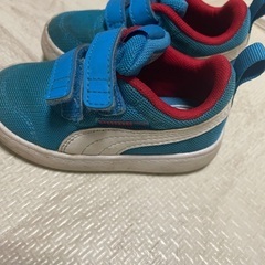 13cm PUMA