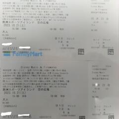 DisneyMusic＆Fireworksチケット2枚　花火