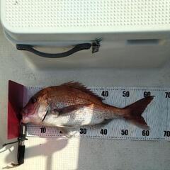 釣りガール又は釣り男子募集