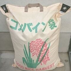 予約:10/10〆切 えびの産 新米ヒノヒカリ 精米済み20kg 見易い