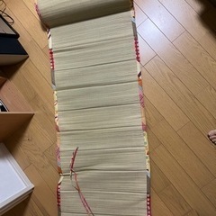 い草ごろ寝マット