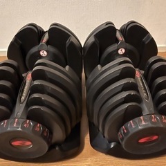bowflex 可変ダンベル 4〜41kg