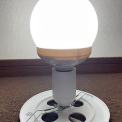 Fado球形ルームランプ　10inch（25cm）ガラス製　間接照明 ルームライトの画像