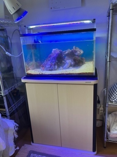 値下げしました　水槽フルセット（海水・淡水）60センチ
