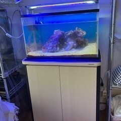 京都府のアクリル水槽の中古が安い！激安で譲ります・無料で
