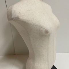 レディーストルソー 女性マネキンの画像
