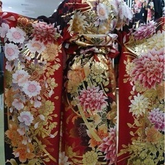成人式 振袖 一式 の画像