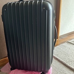 キャリーバッグ　（決まりました）