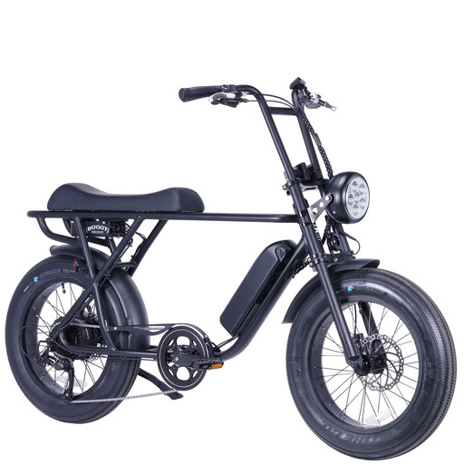 ブロンクスバギー　電動自転車