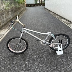 20インチ　トライアル自転車　ECHO ZOO!