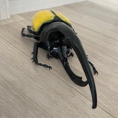 ヘラクレスオオカブトの画像