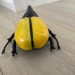ヘラクレスオオカブトの画像