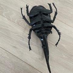 ヘラクレスオオカブトの画像