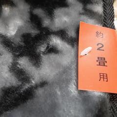 これからの季節に毛足の少しあるカーペットの画像