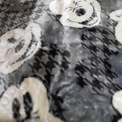 これからの季節に毛足の少しあるカーペット