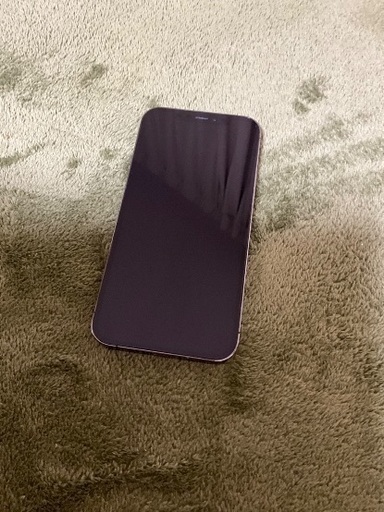 携帯電話 iPhone12 Pro 256GB