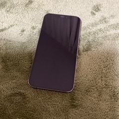 iPhone12 Pro 256GB