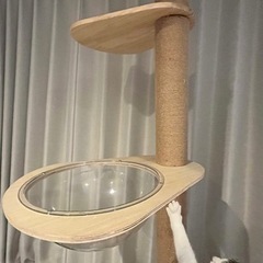 キャットタワー　10/19までの画像