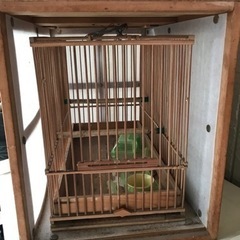 【中古品】手作り竹鳥籠　寝箱セット　ウグイスの画像