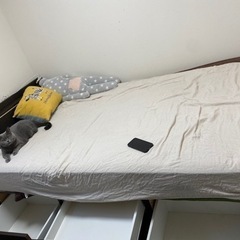 ニトリ　収納つきベッドフレームセミダブルの画像