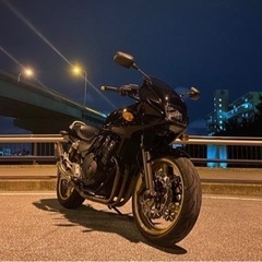 ボルドール400Revo