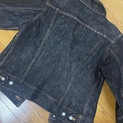 ジージャン　フリーサイズ　レディースの画像