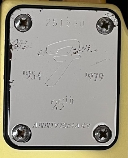 楽器 Fender USA/25th Anniversary Stratocaster