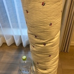ケラッタの抱き枕の画像