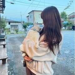バスケしたいです！