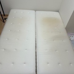 シングル　２つ