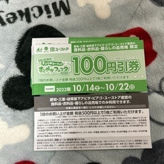 アピタピアゴ100円券緑色の画像