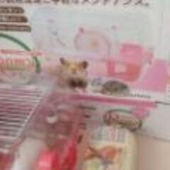 ハムスター飼育セット