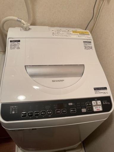 家電 生活家電 洗濯機