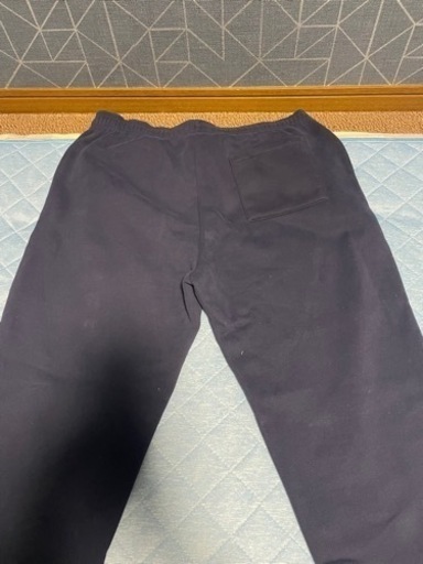 GAP セットアップ