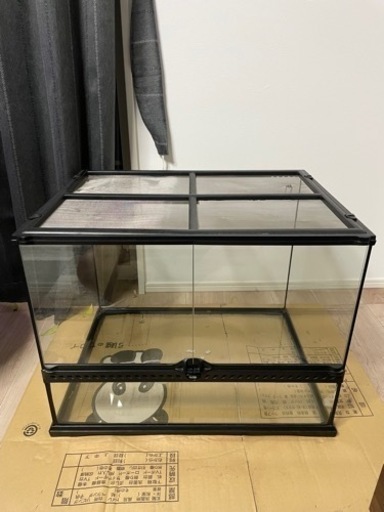 グラステラリウム　6045 爬虫類　中古