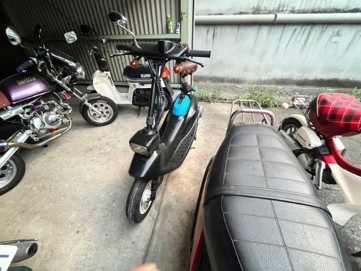 Zook(ズーク)、49cc ホンダ