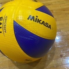 バレーボール　サークルメンバー募集します！