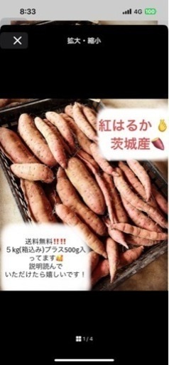 さつまいも 紅はるか5kg