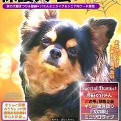 10月22日保護犬の為のフリーマーケット&保護犬の会
