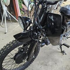 ホンダ　カブ50 12Vの画像