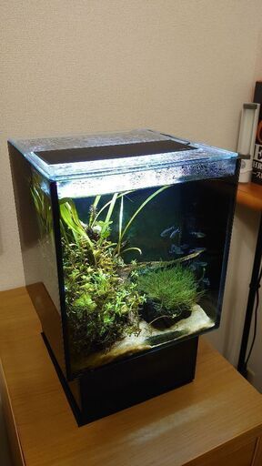 GEX AGS 小型水槽一式お譲りします