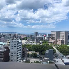 今年の行政書士試験の勉強を、一緒にしませんか？