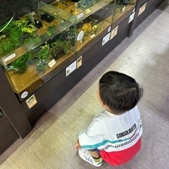 ママ友募集中です☺️2歳の息子がいます！