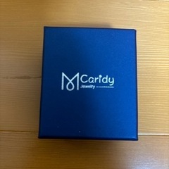 【新品】Caridy ネックレスの画像