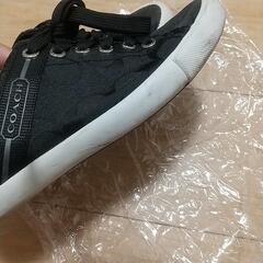 COACHスニーカー24.5cm の画像