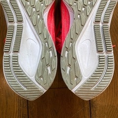 NIKE ナイキ　ペガサス36の画像