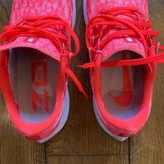 NIKE ナイキ　ペガサス36の画像