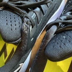 NIKE ナイキ　ペガサス38の画像